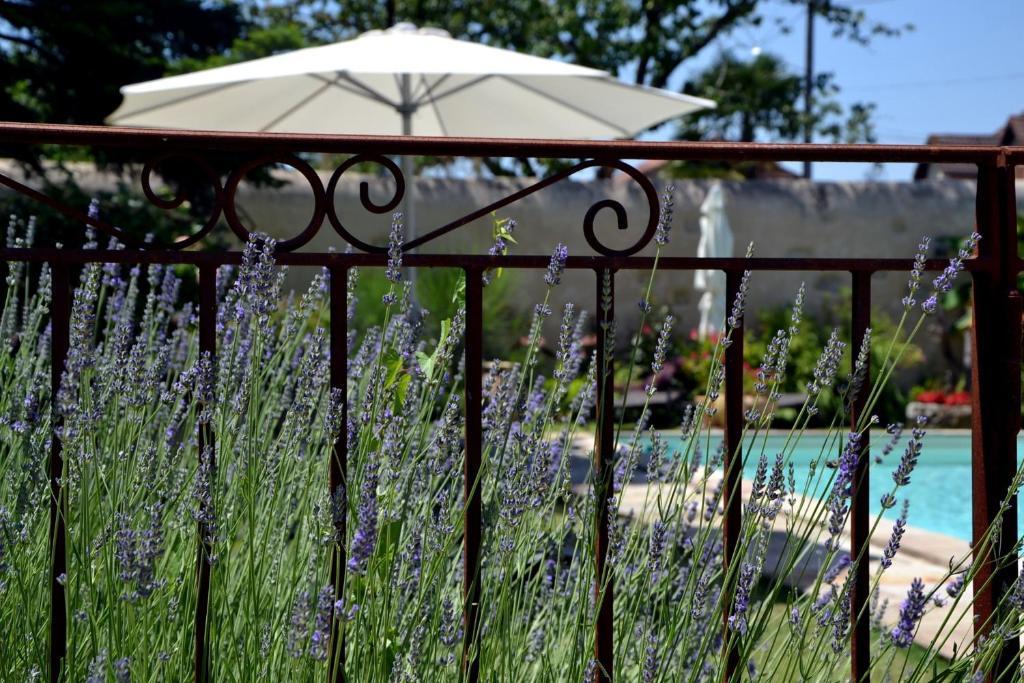 La Baguenaude Bed & Breakfast Marciac Dış mekan fotoğraf